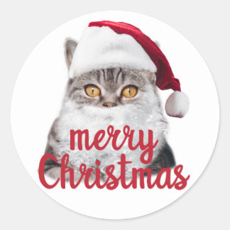 メリークリスマスのサンタ猫シール ラウンドシール