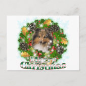 メリークリスマスのシェットランド・シープドッグ シーズンポストカード (正面)