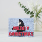 メリークリスマスのシャチのクジラのスパイのホツプのクリスマスのプレゼント シーズンポストカード (スタンド正面)