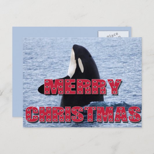 メリークリスマスのシャチのクジラのスパイのホツプのクリスマスのプレゼント シーズンポストカード (正面/裏面)