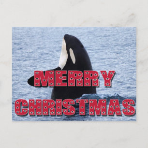 メリークリスマスのシャチのクジラのスパイのホツプのクリスマスのプレゼント シーズンポストカード