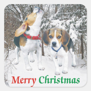 メリークリスマスのビーグル犬のSnowyの森のステッカー スクエアシール