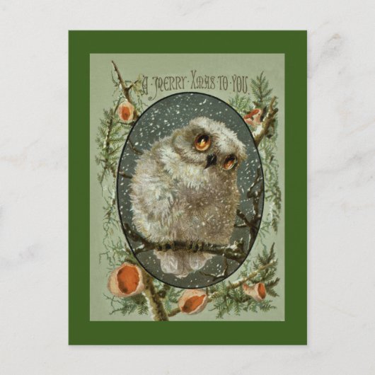 メリークリスマスのフクロウ シーズンポストカード (正面)