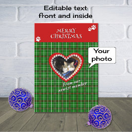 メリークリスマスのペット写真レッドグリーンチェック シーズンカード