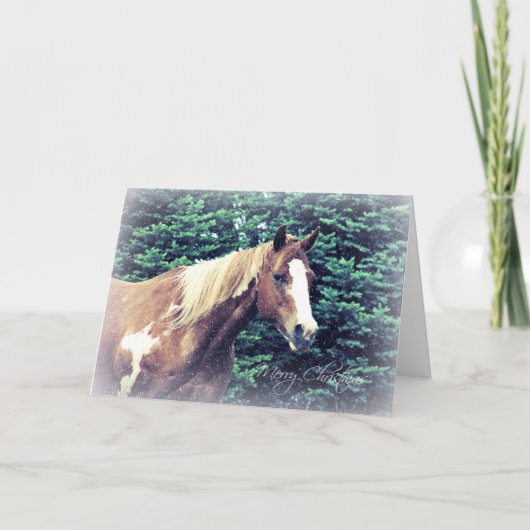 メリークリスマスのペンキのロバ シーズンカード (正面)