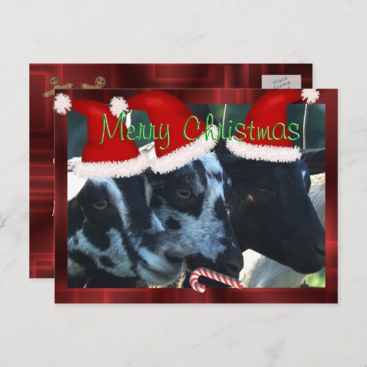 メリークリスマスのヤギの郵便はがきはカスタマイズ シーズンポストカード (正面/裏面)