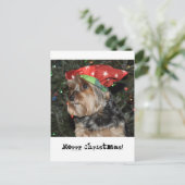 メリークリスマスのヨークシャテリアの郵便はがきカード シーズンポストカード (スタンド正面)