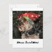 メリークリスマスのヨークシャテリアの郵便はがきカード シーズンポストカード (正面/裏面)