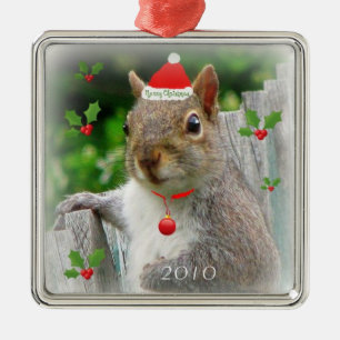 メリークリスマスのリス2010年 メタルオーナメント