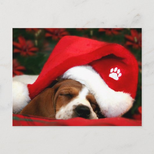 メリークリスマスの子犬のポストカード シーズンポストカード (正面)