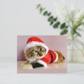メリークリスマスの子猫猫のサンタのスーツ シーズンポストカード (スタンド正面)