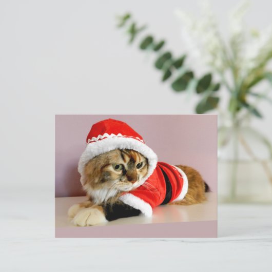 メリークリスマスの子猫猫のサンタのスーツ シーズンポストカード (スタンド正面)