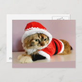 メリークリスマスの子猫猫のサンタのスーツ シーズンポストカード (正面/裏面)
