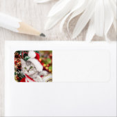 メリークリスマスの子猫 ラベル (インサイチュ)