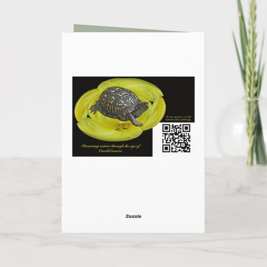 メリークリスマスの挨拶-北の明滅 シーズンカード (裏面)