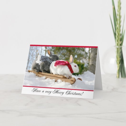 メリークリスマスの柔らかいバニーカード シーズンカード (正面)