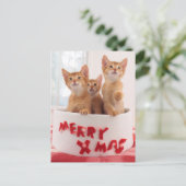 メリークリスマスの猫ちゃん シーズンポストカード (スタンド正面)