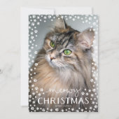 メリークリスマスの猫好きホリデーフォトカード シーズンカード (正面)