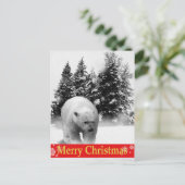 メリークリスマスの白くま! シーズンポストカード (スタンド正面)