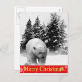 メリークリスマスの白くま! シーズンポストカード (正面/裏面)