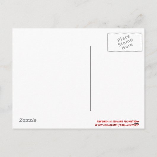 メリークリスマスの願いここにハガキ シーズンポストカード (裏面)