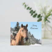メリークリスマスの馬 シーズンポストカード (スタンド正面)