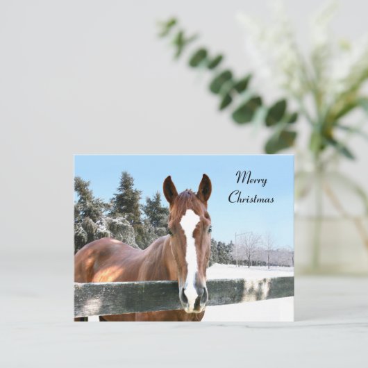 メリークリスマスの馬 シーズンポストカード (スタンド正面)
