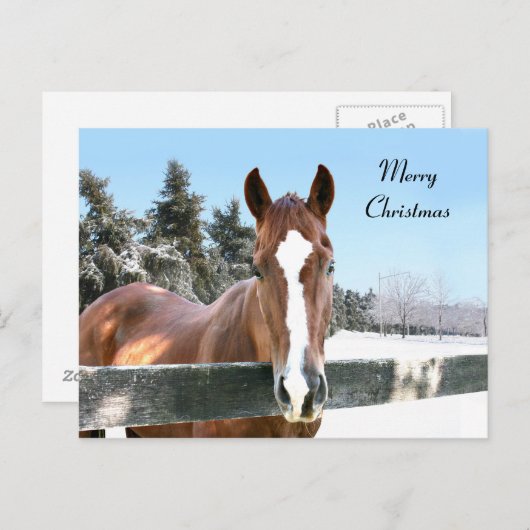 メリークリスマスの馬 シーズンポストカード (正面/裏面)