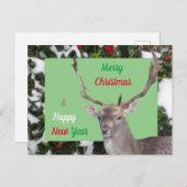 メリークリスマスの鹿とホリーポストカード ポストカード (正面/裏面)