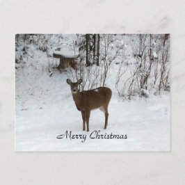 メリークリスマスの鹿 シーズンポストカード
