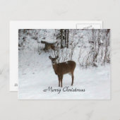 メリークリスマスの鹿 シーズンポストカード (正面/裏面)
