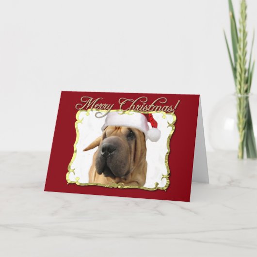 メリークリスマスのShar Pei犬 シーズンカード (正面)