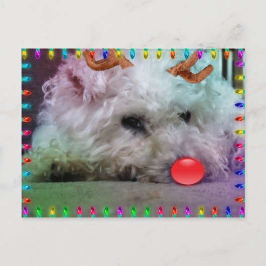 メリークリスマスを望みます シーズンポストカード (正面)