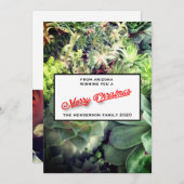 メリークリスマスアリゾナのサボテンの家族写真 シーズンカード (正面/裏面)