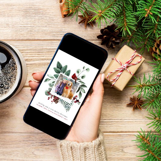 メリークリスマスウィンターレッド（鳥）ショウジョウコウカンチョウ写真 シーズンカード