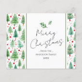 メリークリスマスウォーターの木 (正面)