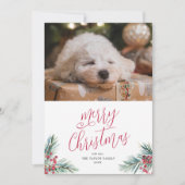 メリークリスマスウォーターカラーパインとベリー シーズンカード (正面)