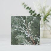 メリークリスマスエベ霜の降りたグリーンブランチ シーズンカード (スタンド正面)