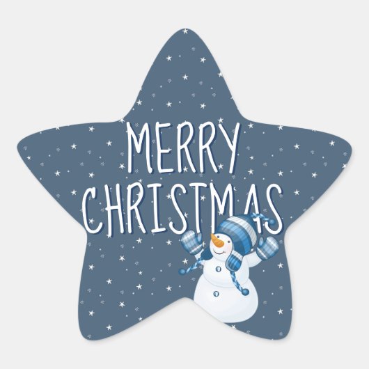 メリークリスマスオンスターズ&雪だるま 星シール (正面)
