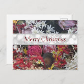 メリークリスマスオーストラリア先住民の花 ポストカード (正面/裏面)