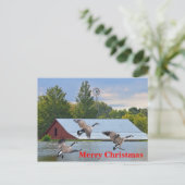 メリークリスマスカナダガチョウが池に着陸 シーズンポストカード (スタンド正面)