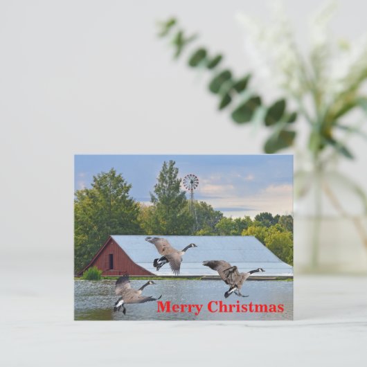 メリークリスマスカナダガチョウが池に着陸 シーズンポストカード (スタンド正面)
