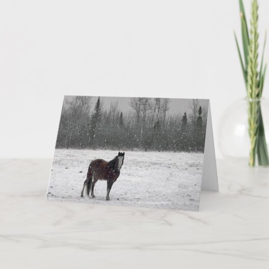 メリークリスマスカード シーズンカード (正面)