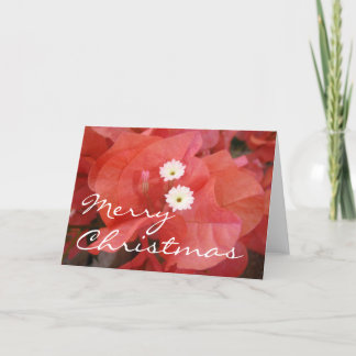 メリークリスマスカード シーズンカード