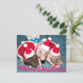 メリークリスマスカード シーズンポストカード (スタンド正面)