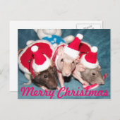 メリークリスマスカード シーズンポストカード (正面/裏面)