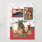 メリークリスマスキャンディーケーン弓フォトホリデーカード シーズンカード (裏面)