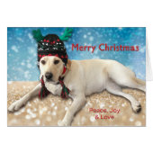 メリークリスマスキュートな実験犬の研究室〔雄ジカの〕枝角 (正面横)