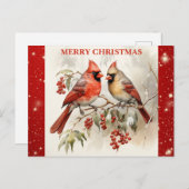 メリークリスマスキュートウォーター色(鳥)ショウジョウコウカンチョウ ポストカード (正面/裏面)