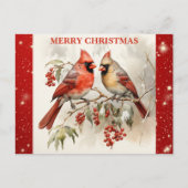 メリークリスマスキュートウォーター色（鳥）ショウジョウコウカンチョウ ポストカード (正面)